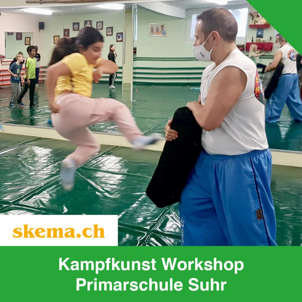 Kampfkunst Kung Fu Primarschule Suhr